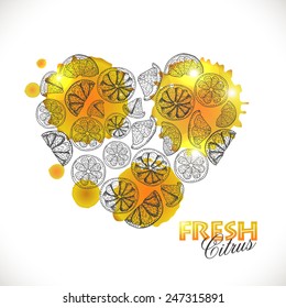 Isolated heart of citrus. Vector illustration for your design