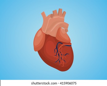isolated heart with real style vector and blue background