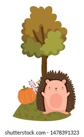 Isolated hedgehog cartoon vector design