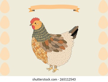 Isolated hen on neutral background