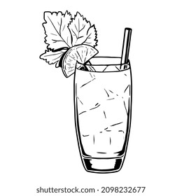 Isolated herbal cocktail draw drink bar illustration vector