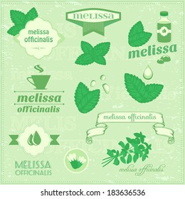 isolated herbs, melissa vector leaves set illustration, melissa background