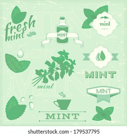 isolated herbs, mint vector leaves set illustration, peppermint background