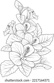 Isolated hibiscus flower bouquet hand drawn vector sketch illustration, botanic collection branch of leaf buds natural floral collection coloring page  engraved ink art.
