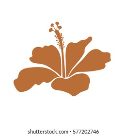 Isolated hibiscus flower in brown on white colors. Vector illustration. Tropical icon with single brown on white hibiscus flower.