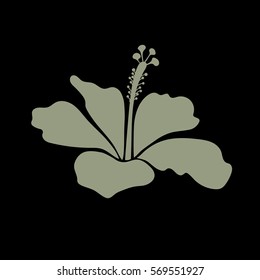 Isolated hibiscus flower in neutral on black colors. Vector illustration. Tropical icon with single neutral on black hibiscus flower.