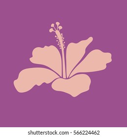 Isolated hibiscus flower in neutral and purple colors. Vector hand drawn painting of neutral and purple single hibiscus flower icon.