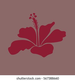 Isolated hibiscus flower in red and neutral colors.