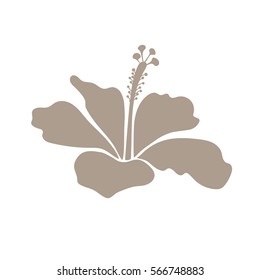 Isolated hibiscus vector icon. Single tropical flower in beige on white colors.
