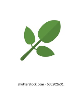 Isolated Hickory Flat Icon. Foliage Vector Element Can Be Used For Hickory, Foliage, Leaf Design Concept.