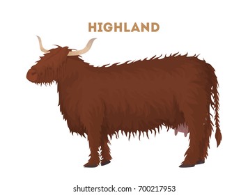 513 Highland Cow Stock Vectors, Images & Vector Art | Shutterstock