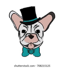 Isolated hipster french bulldog design