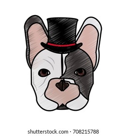 Isolated hipster french bulldog design