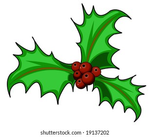 Isolated holly