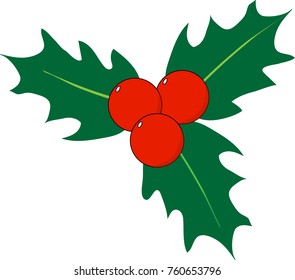 Isolated Holly vector art with berries. Christmas flat design illustration.  xmas winter decor  berry decorative berry leaf traditional ornament symbol.