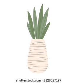 Isolated home plant Interior decoration Vector
