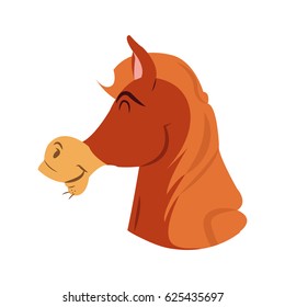 Isolated horse cartoon design
