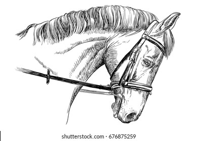 Easy pencil drawings of horses
