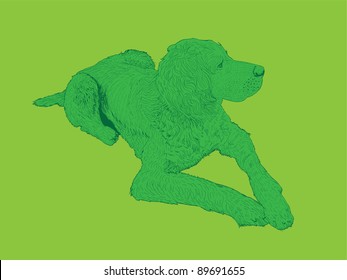 isolated hound dog - illustration