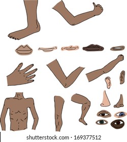 Isolated human body parts over white background