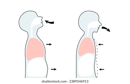 Isolated of human body when breathe in and breathe out.