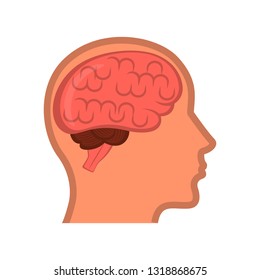 Isolated human brain in a body. Vector illustration design