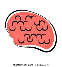 Isolated human brain. Colored sketch. Vector illustration design