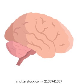 Isolated human brain icon flat design Vector