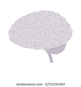 Isolated of human brain illustration in flat vector.