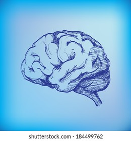 Isolated human brain sketch - illustration