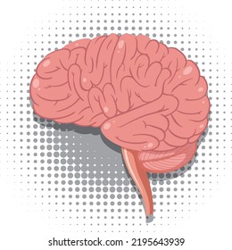 Isolated Human Brain Vector illustration