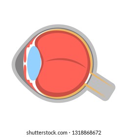 Isolated human cut eye image. Vector illustration design