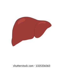 Isolated human liver image. Vector illustration design