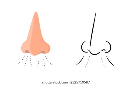Isolated human nose in flat design and outline drawing style.