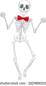 Isolated human skeleton anatomy illustration