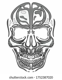 Isolated Human skull on white background. drawn in tattoo style. Vector illustration.
