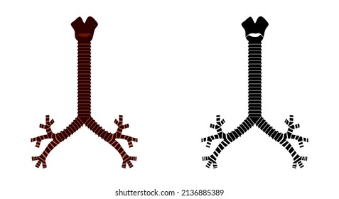 Isolated Human Trachea And Bronchioles. Vector Illustration Design