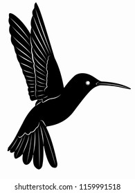 isolated hummingbird illustration, black and white drawing, white background