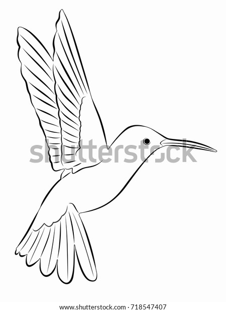 Isolated Hummingbird Illustration Black White Drawing Stock Vector ...