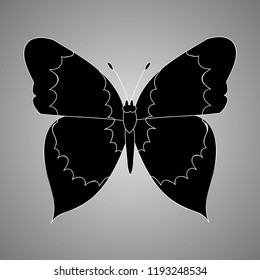 isolated icon butterfly