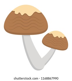
Isolated icon design of shimeji
