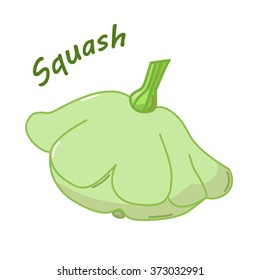 Isolated icon of fresh squash with name