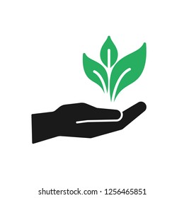 Isolated icon of green plant in black hand on white background. Silhouette of leaf and hand. Symbol of care, protection, charity. Flat design.