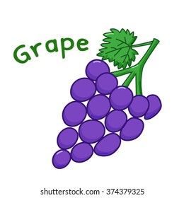 Isolated icon of raw grape with name