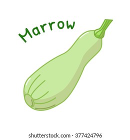 Isolated icon of raw marrow with name