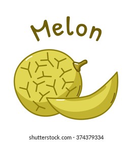 Isolated icon of raw melon with name