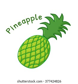 Isolated icon of raw pineapple with name