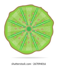 Isolated icon of slice of kiwi on white background with shadow