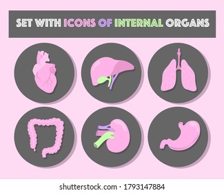 Isolated Icons with internal organs in vector illustration. Lungs, heart, liver, stomach, guts, kidney. Colorful. Web, social media and messenger icons. Medical, anatomy, viscera, human body.