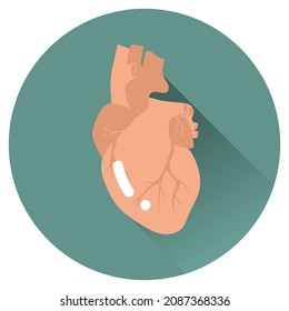 Isolated Icons with internal organs in vector illustration. Lungs, heart, liver, stomach, guts, kidney. Colorful and black and white. Medicine, clinic, hospital, social media, online, health.